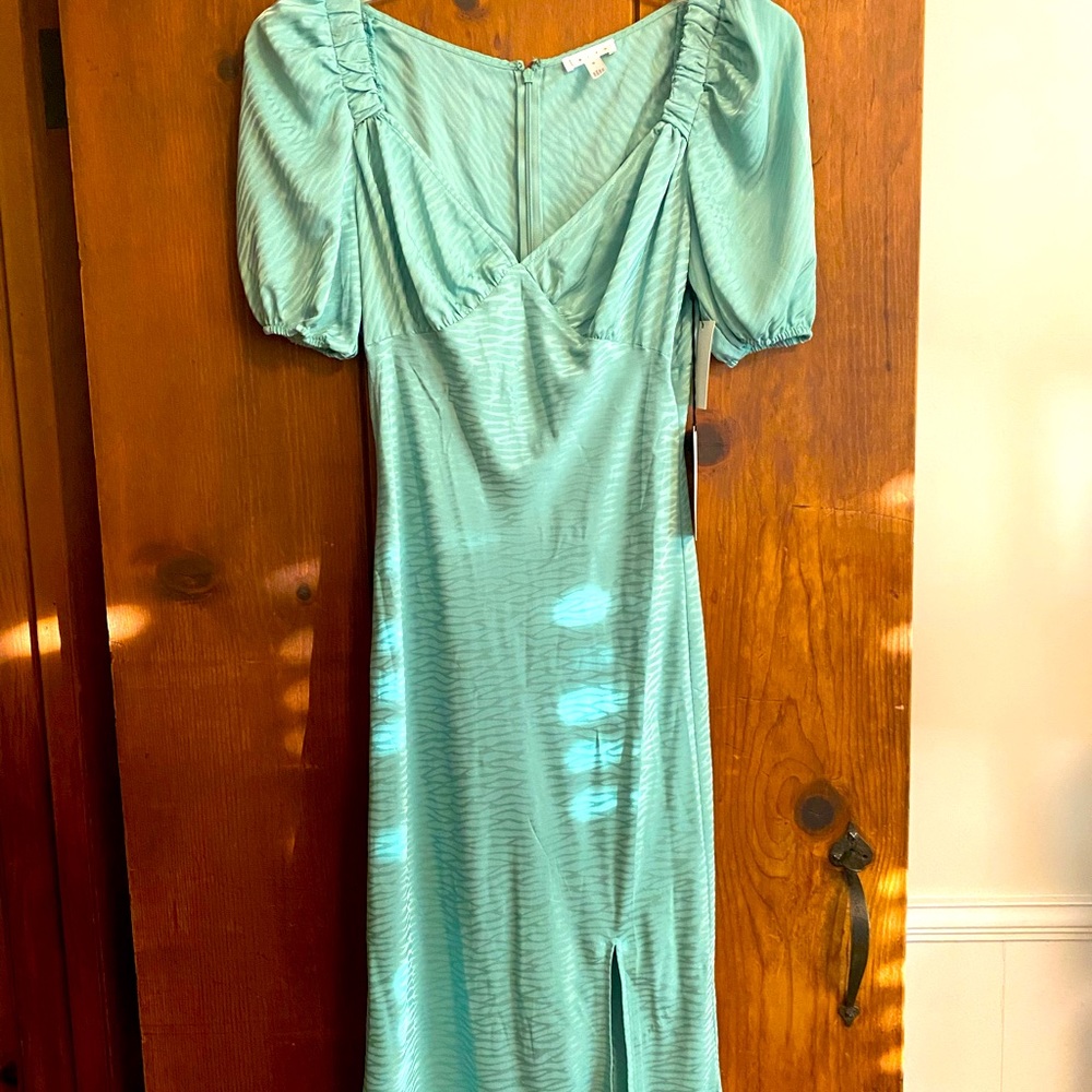 Brand New Leith Green Wing Dress